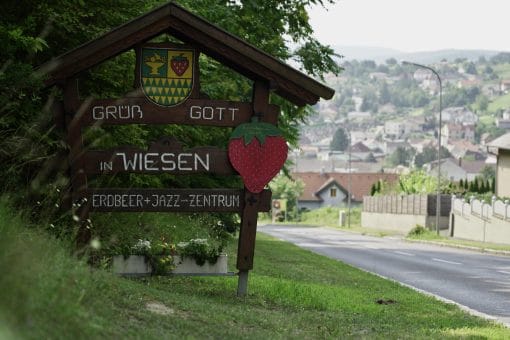 Wiesen_b-fitness